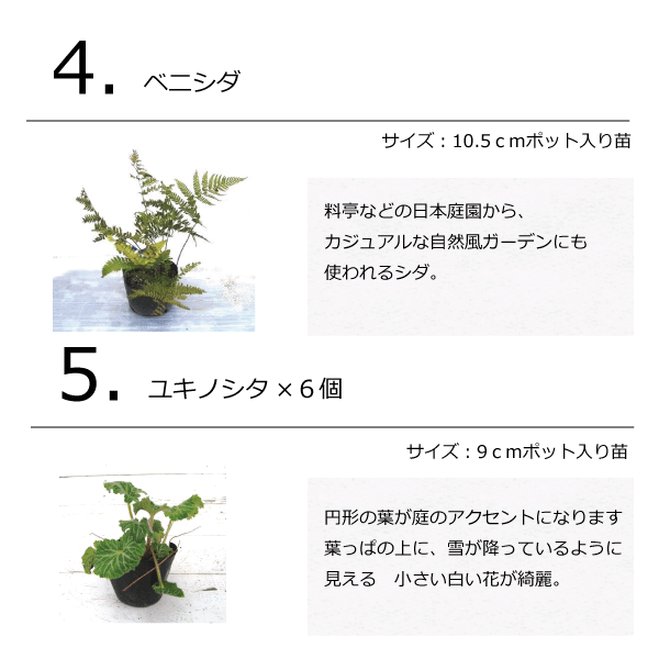 和モダン　モダン和風　雑木の庭　ガーデンセット