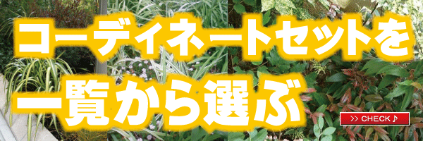 ガーデンセット　モダン　植木組合オリジナル