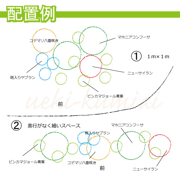 モダンデザインのお庭をプロデュース そのまま植えるガーデンセット