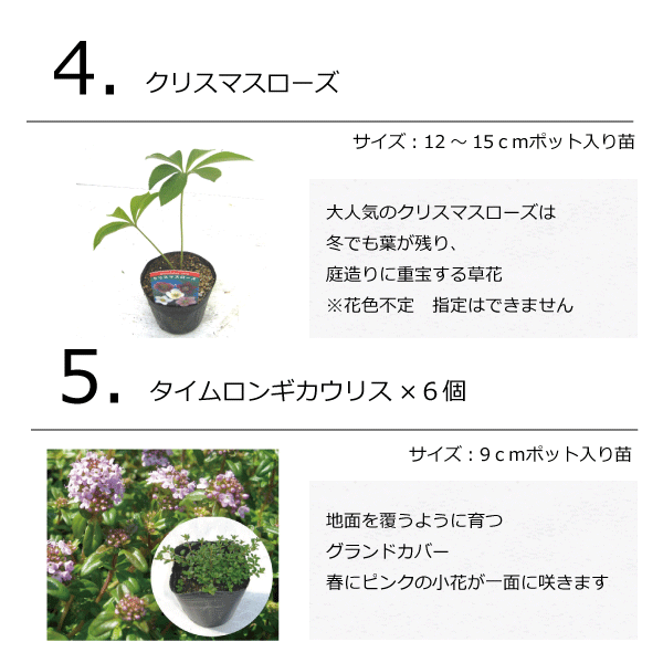 ナチュラルガーデン