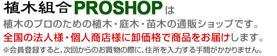 植木のプロのための植木・庭木・苗木の通販ショップです。