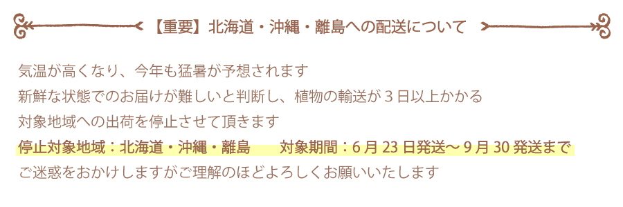2025　夏　発送停止