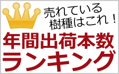植木　庭木　人気　ランキング