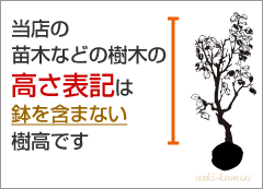 高さ表記