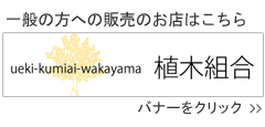 人気の植木庭木通販、生垣苗木販売、リピア苗販売、シンボルツリー販売